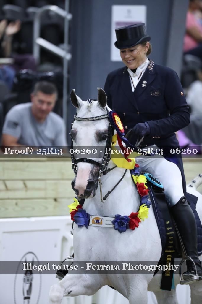 Proof 25R13_06260