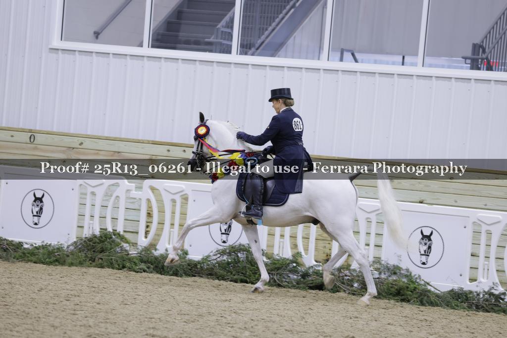 Proof 25R13_06261