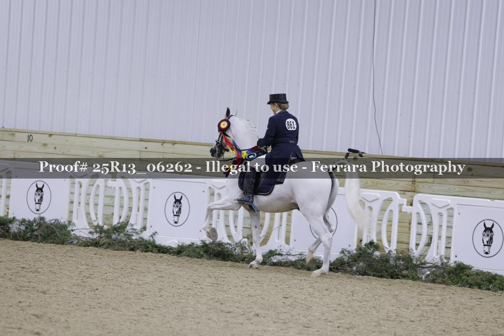 Proof 25R13_06262