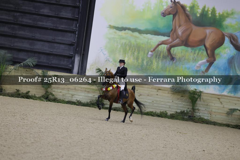 Proof 25R13_06264