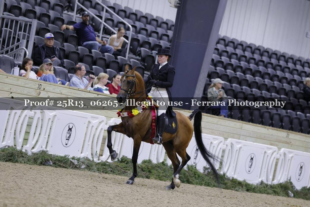 Proof 25R13_06265