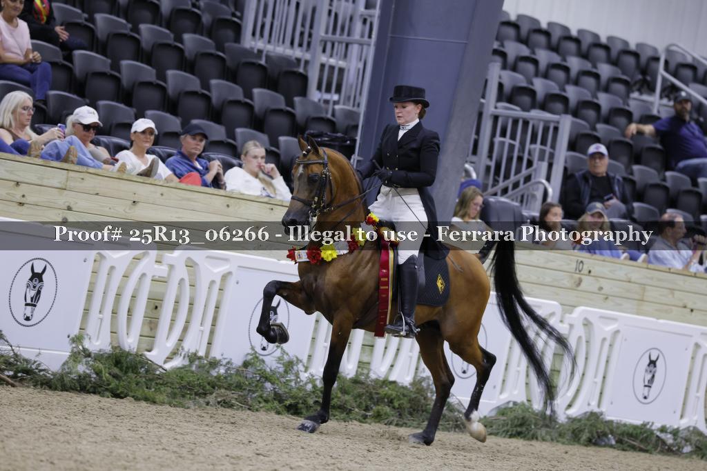 Proof 25R13_06266