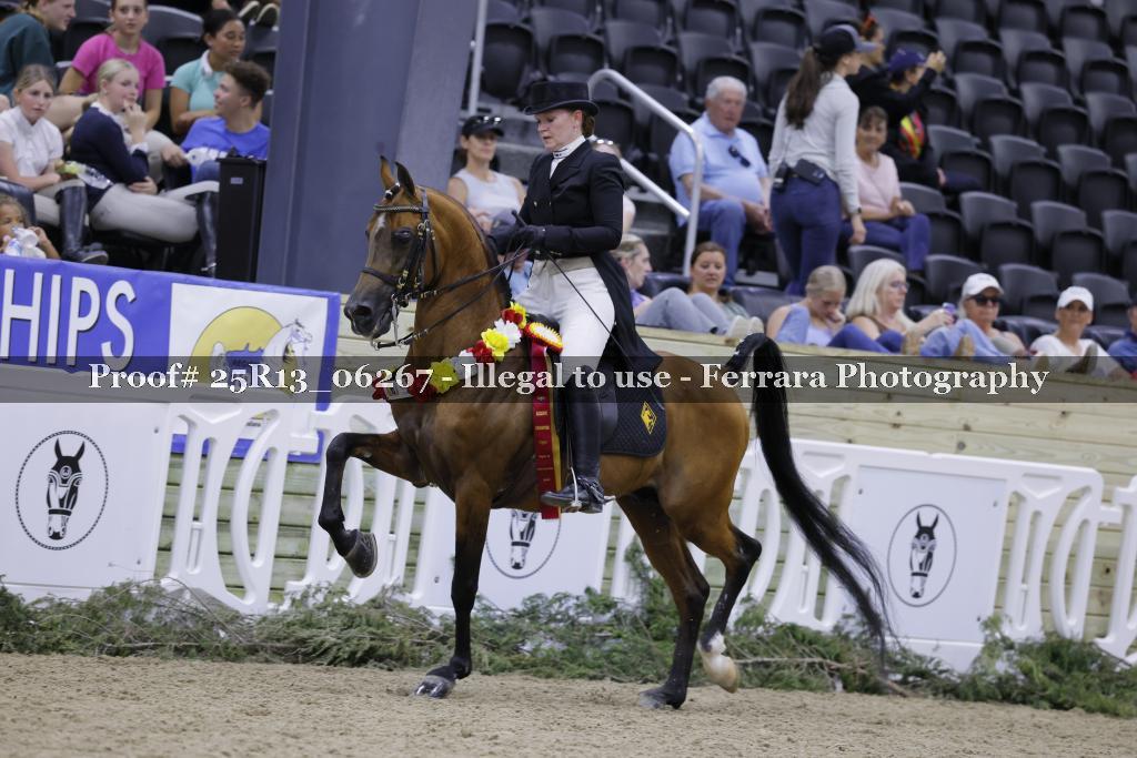 Proof 25R13_06267