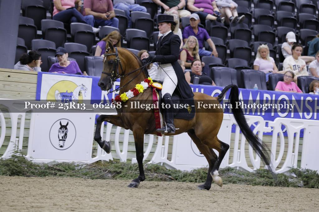 Proof 25R13_06268