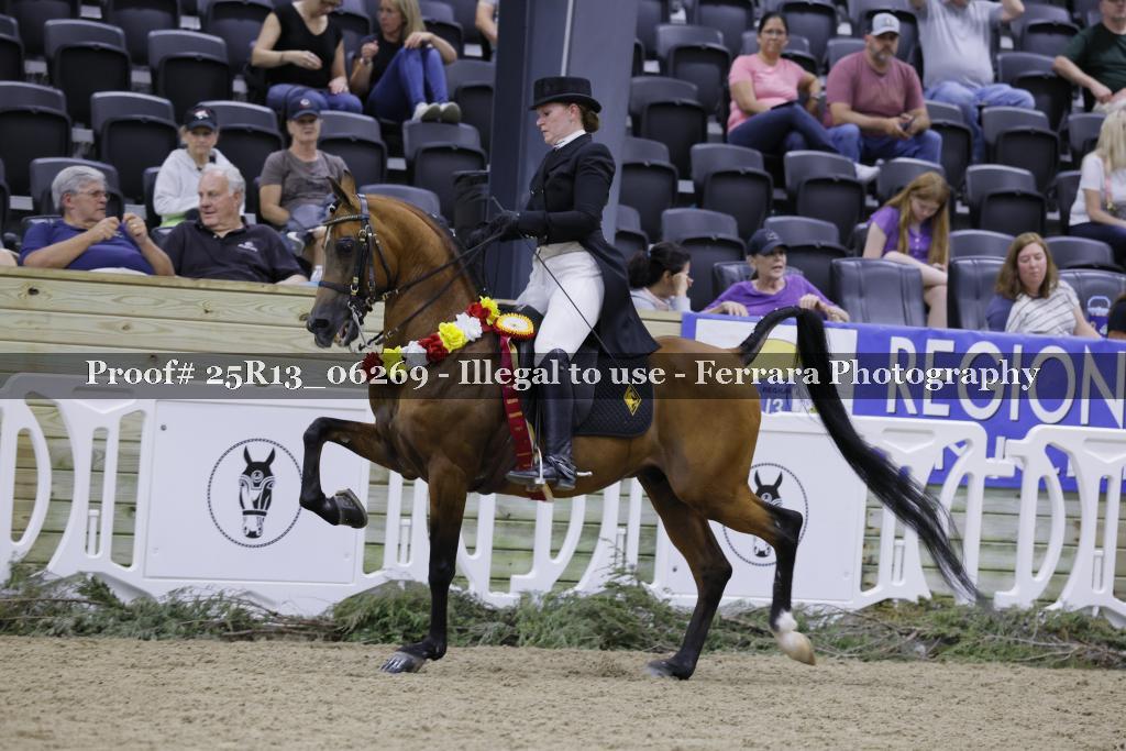 Proof 25R13_06269