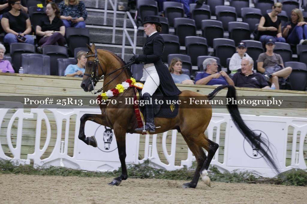 Proof 25R13_06270