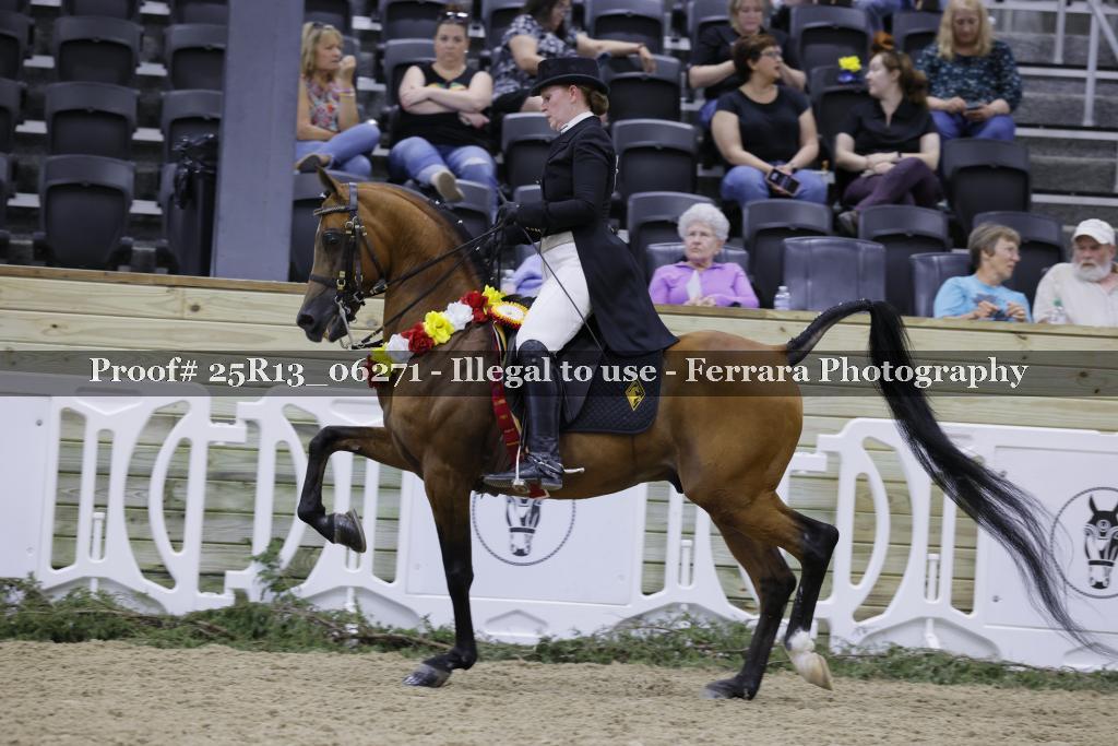 Proof 25R13_06271