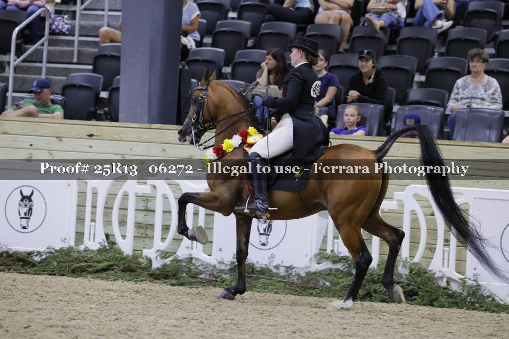 Proof 25R13_06272