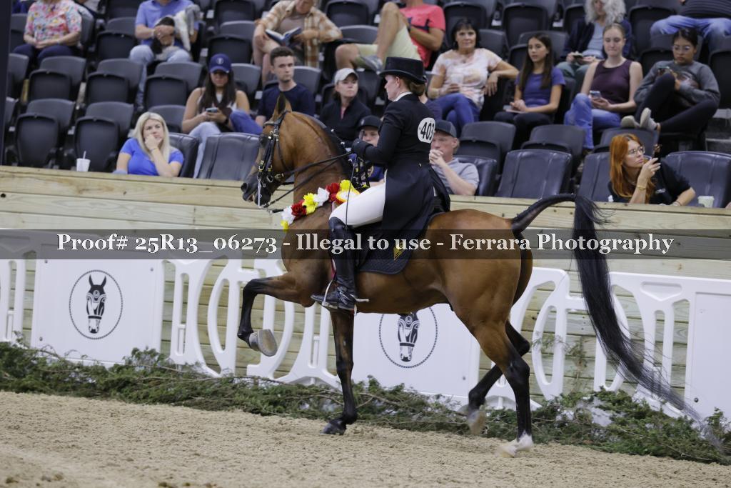 Proof 25R13_06273
