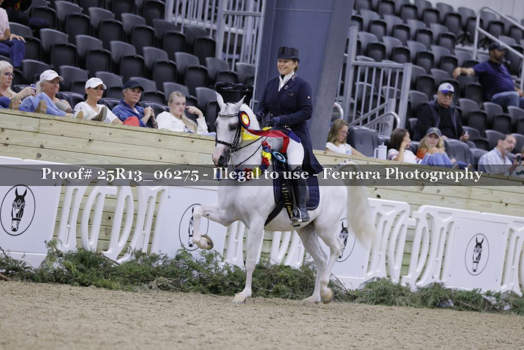 Proof 25R13_06275