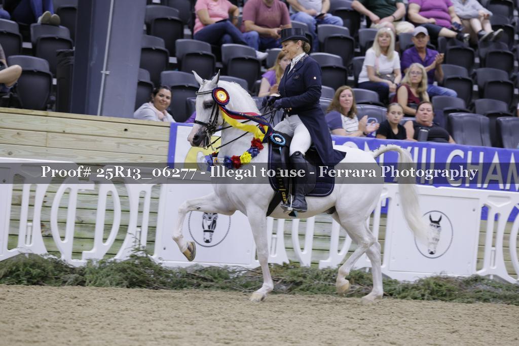 Proof 25R13_06277