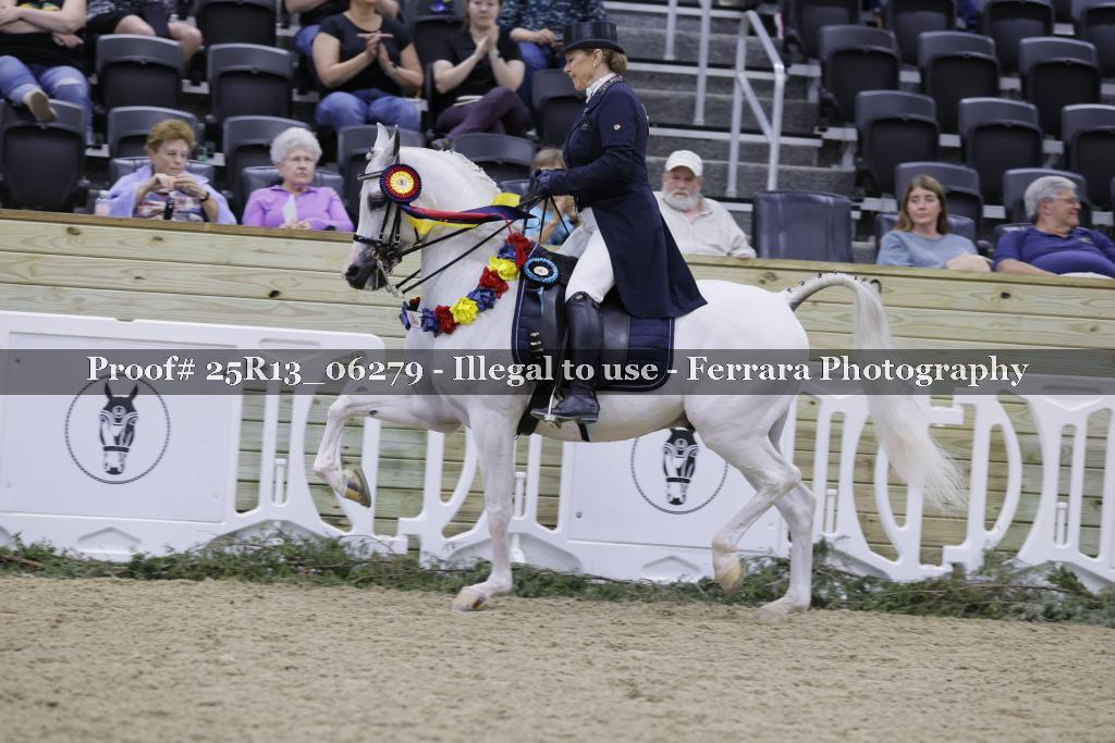 Proof 25R13_06279