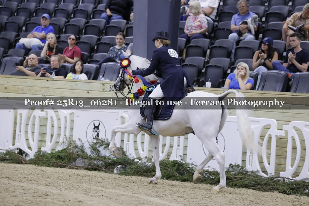 Proof 25R13_06281