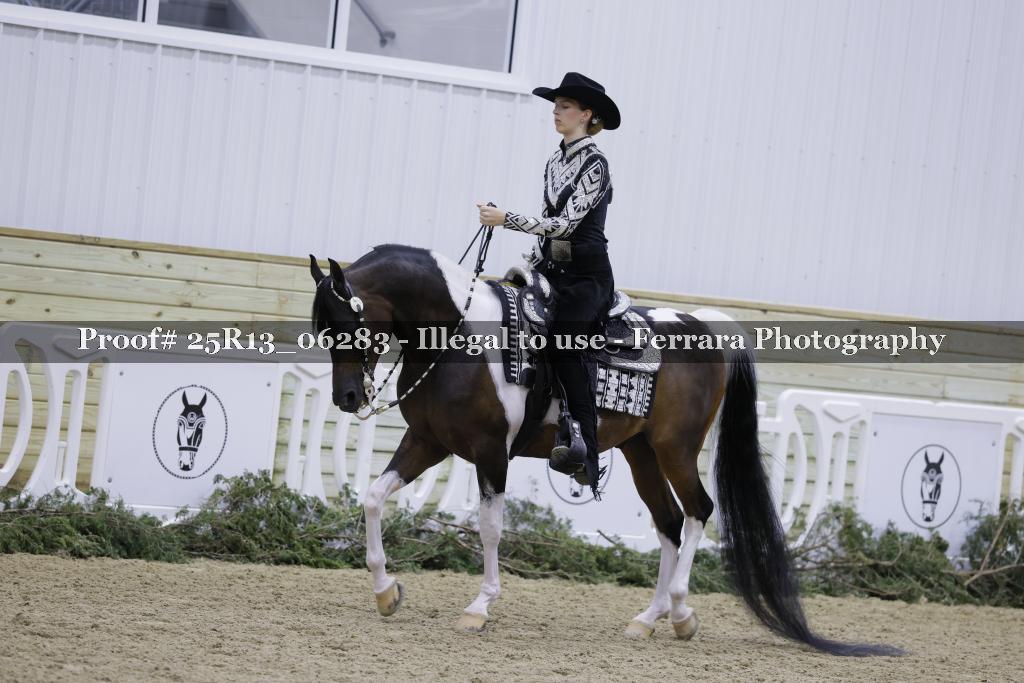 Proof 25R13_06283