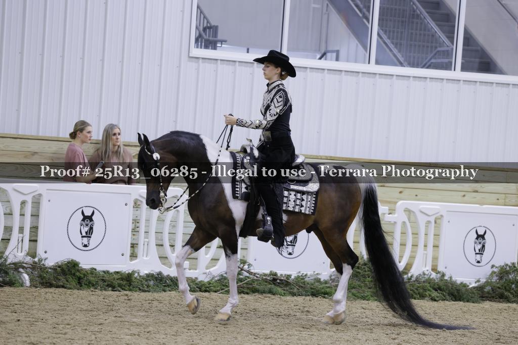 Proof 25R13_06285