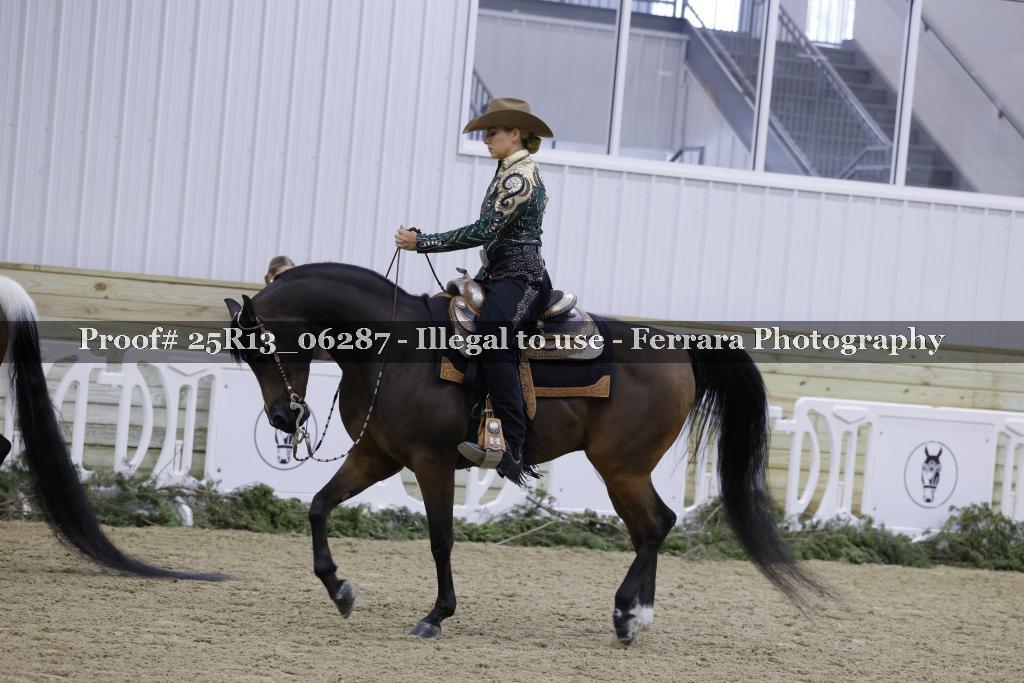 Proof 25R13_06287