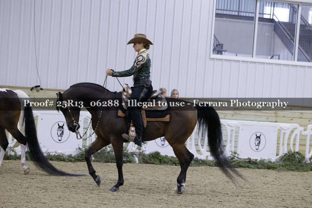 Proof 25R13_06288
