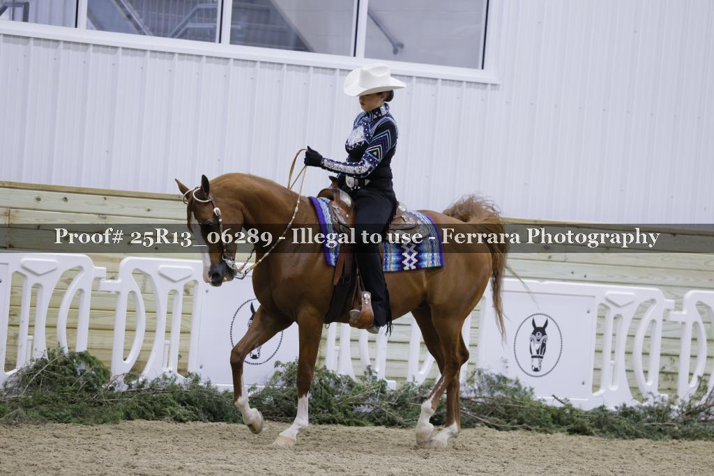 Proof 25R13_06289
