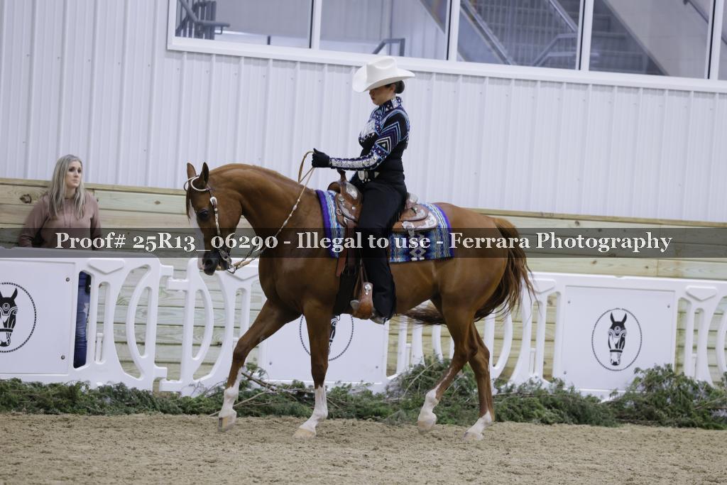 Proof 25R13_06290