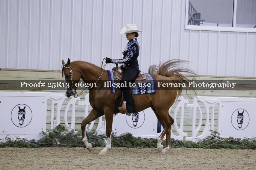 Proof 25R13_06291