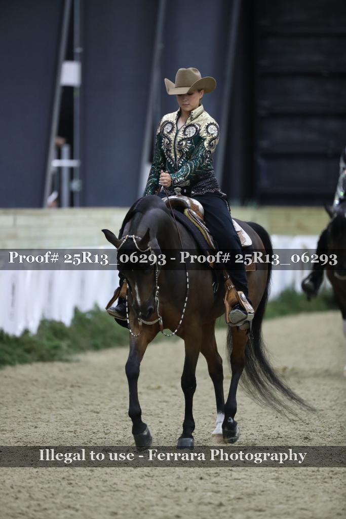 Proof 25R13_06293