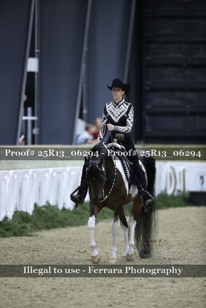 Proof 25R13_06294