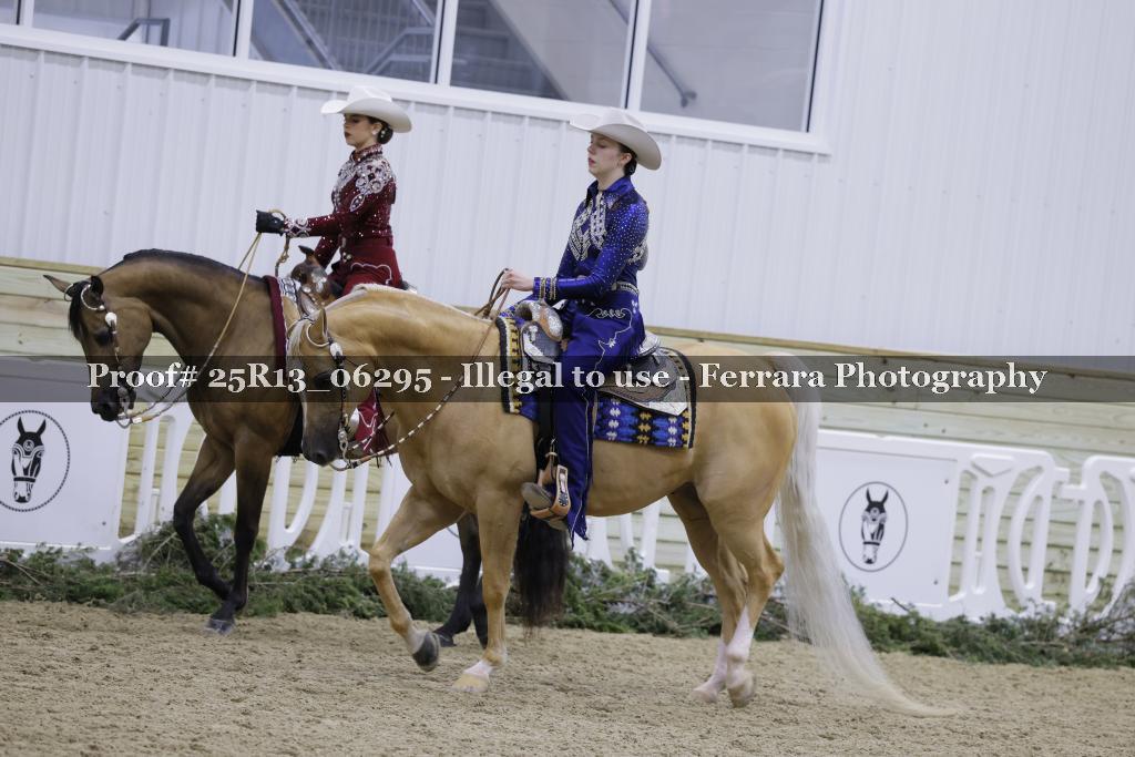 Proof 25R13_06295