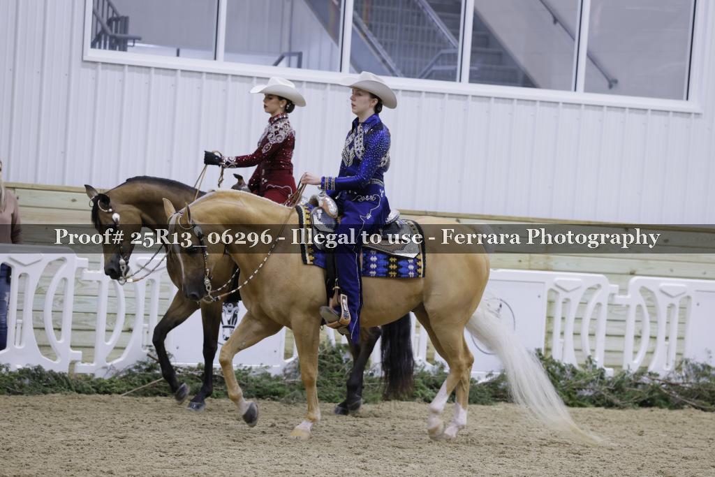 Proof 25R13_06296