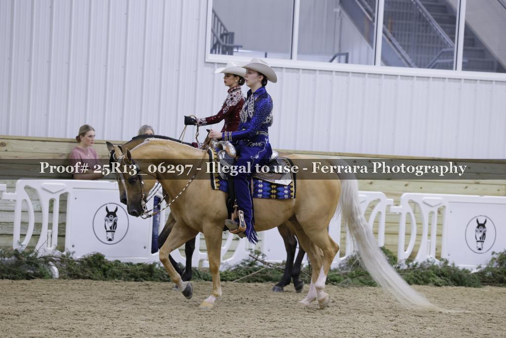 Proof 25R13_06297