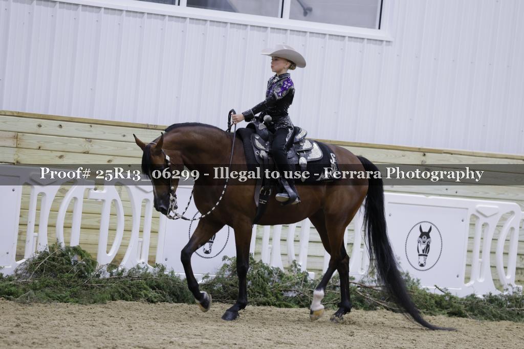 Proof 25R13_06299