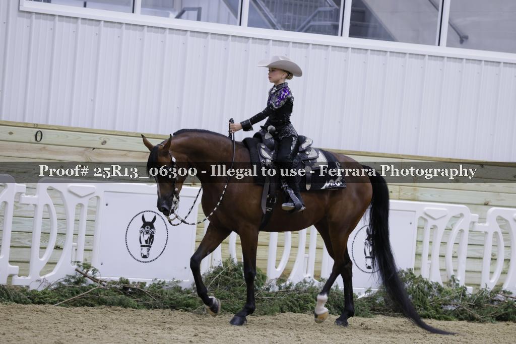 Proof 25R13_06300