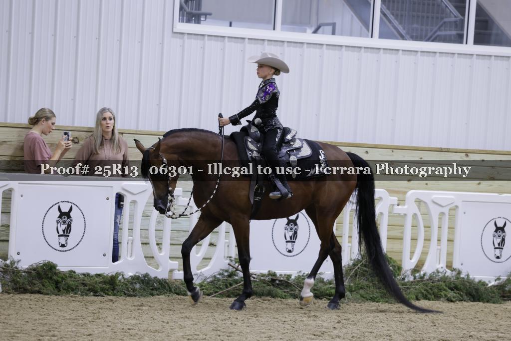 Proof 25R13_06301