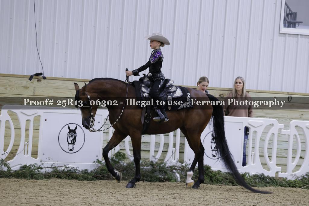 Proof 25R13_06302