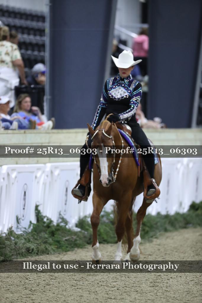 Proof 25R13_06303