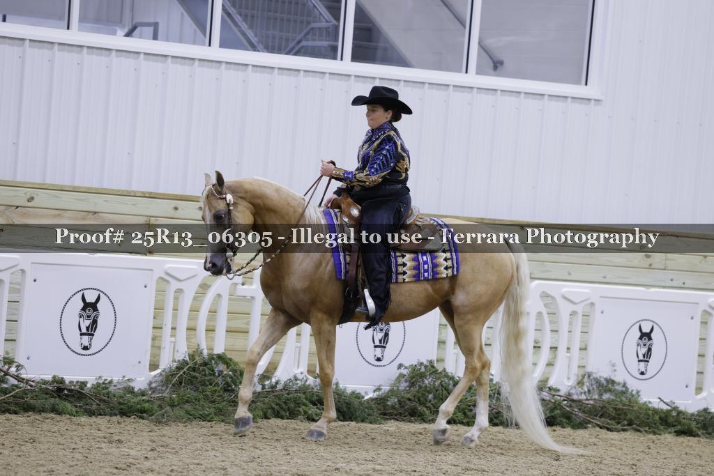 Proof 25R13_06305