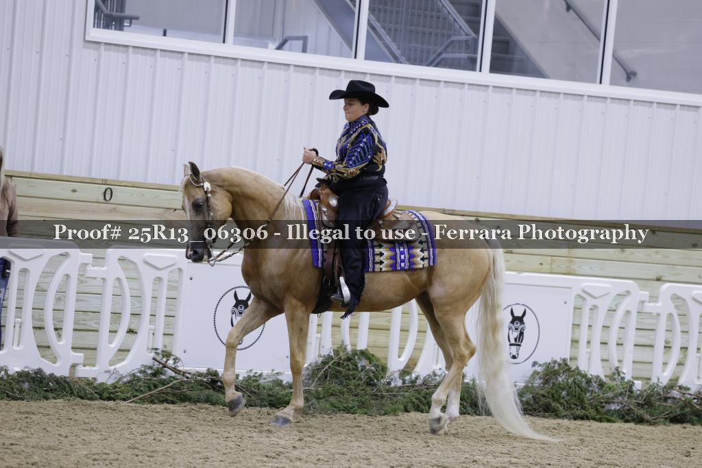 Proof 25R13_06306