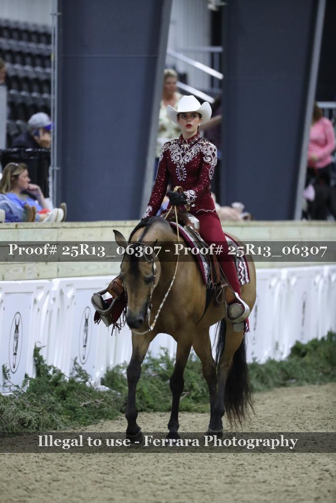 Proof 25R13_06307
