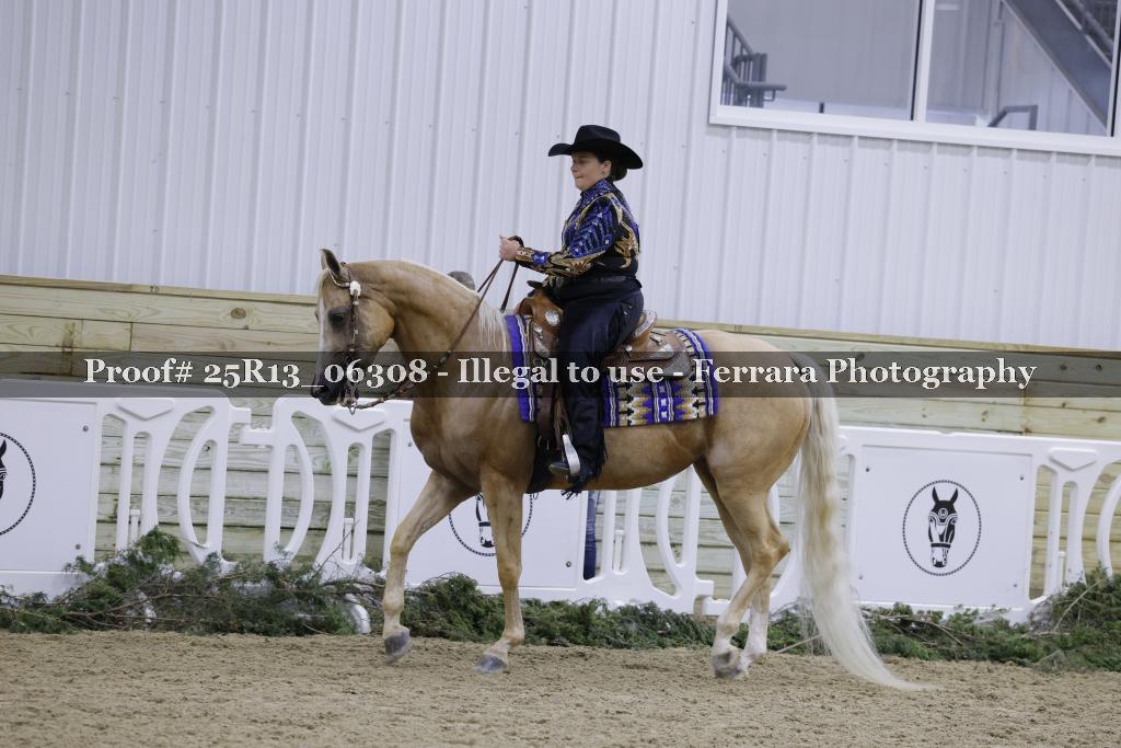 Proof 25R13_06308