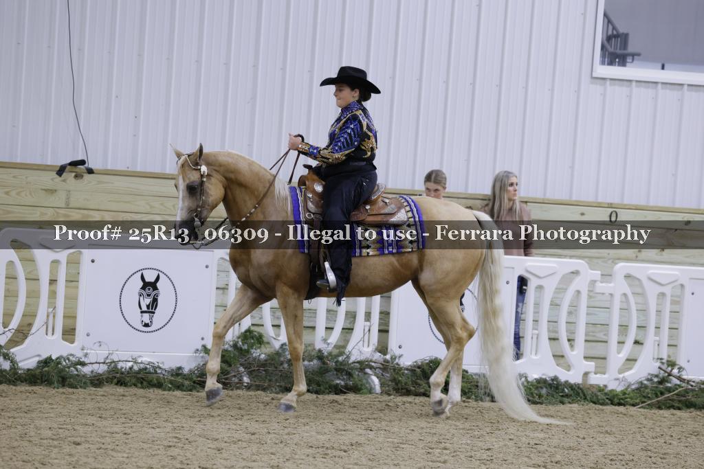Proof 25R13_06309