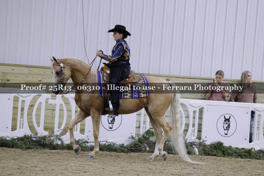 Proof 25R13_06310