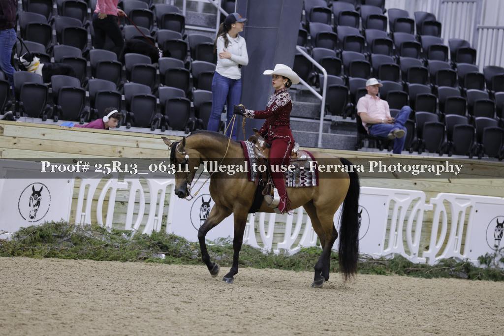 Proof 25R13_06311