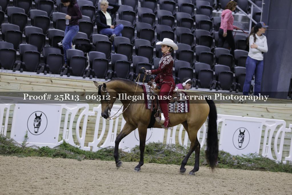 Proof 25R13_06312
