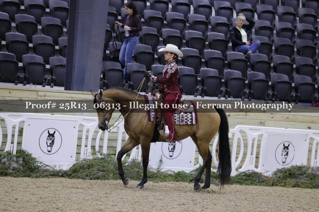 Proof 25R13_06313