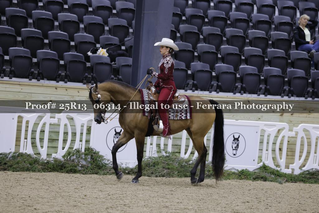 Proof 25R13_06314