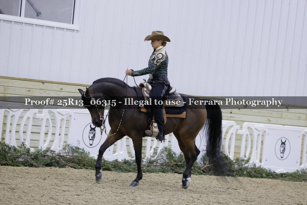 Proof 25R13_06315
