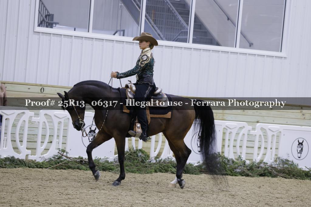 Proof 25R13_06317