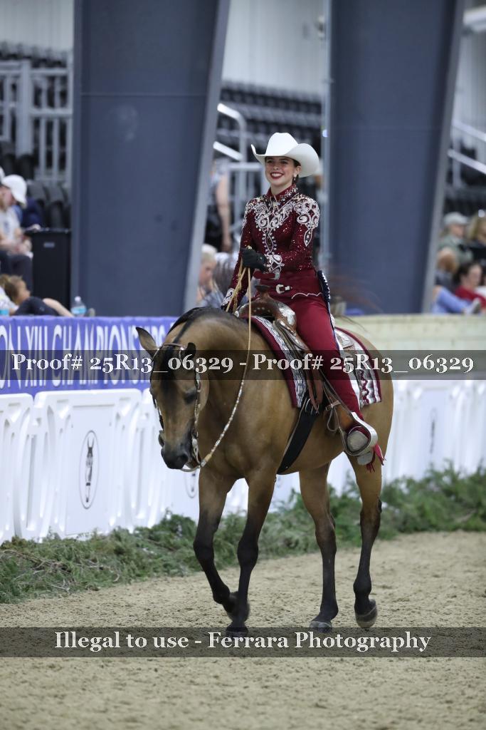 Proof 25R13_06329