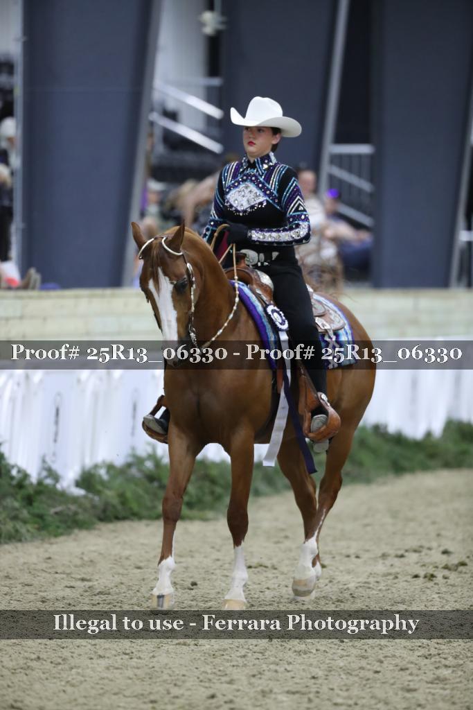 Proof 25R13_06330