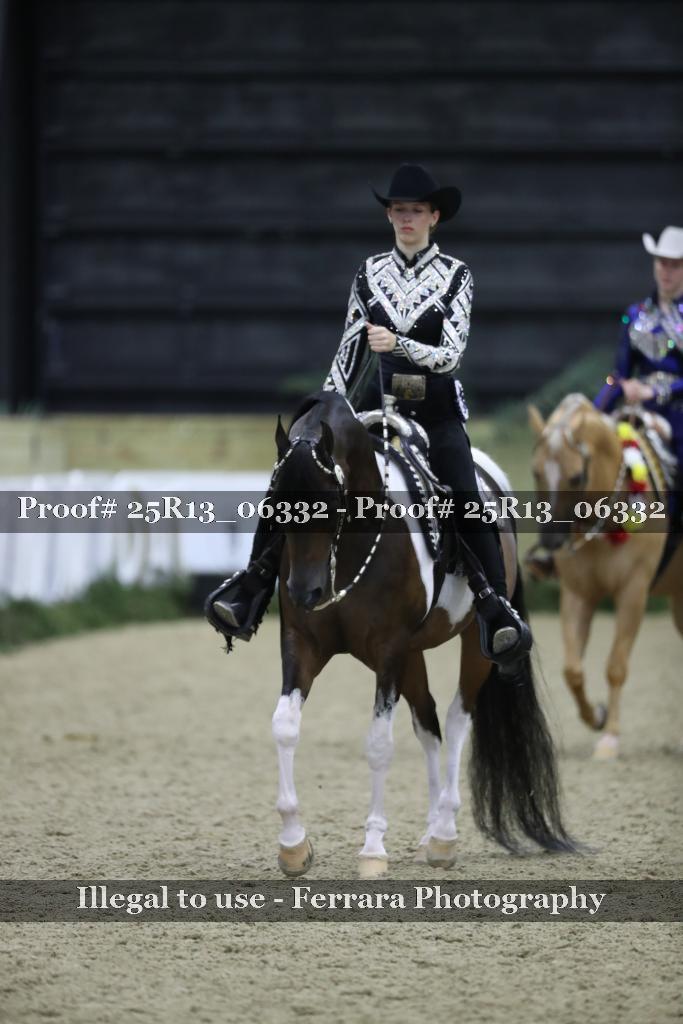 Proof 25R13_06332