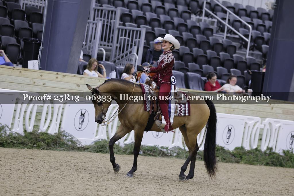 Proof 25R13_06333